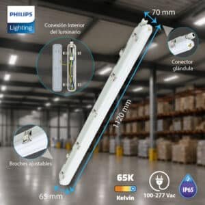 SmartBright LED WT065C