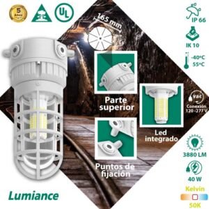 LED Tipo Fanal 40w
